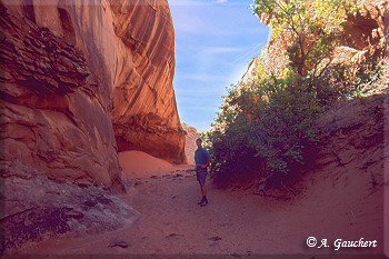 Auf dem Weg zum Neon Canyon